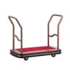 Xe chở hành lý 2 đầu đẩy cao cấp-TROL002