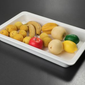 Khay gốm sứ trưng bày thức ăn-MOD137